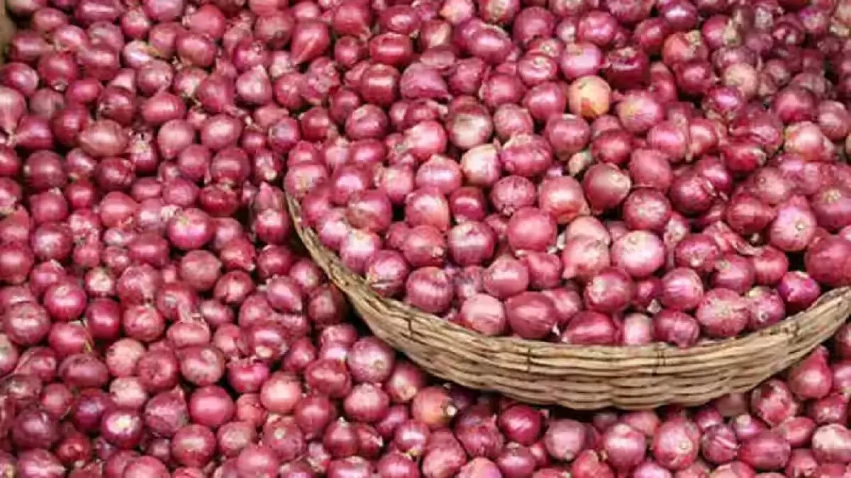 Onion Price Hike : प्याज ने निकाले जनता के आंसू, बढ़ती कीमतों पर मोदी सरकार यूं लगाएगी ब्रेक