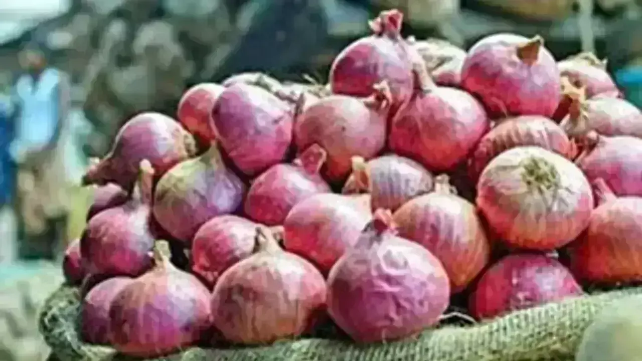 Onion price today: महंगाई की मार झेल रहे लोगों को खुशखबरी प्याज दाम में भारी गिरावट